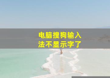 电脑搜狗输入法不显示字了