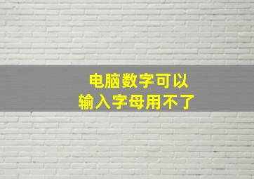 电脑数字可以输入字母用不了