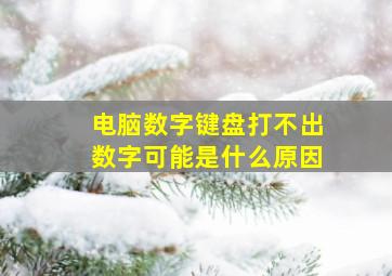 电脑数字键盘打不出数字可能是什么原因