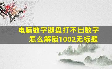 电脑数字键盘打不出数字怎么解锁1002无标题