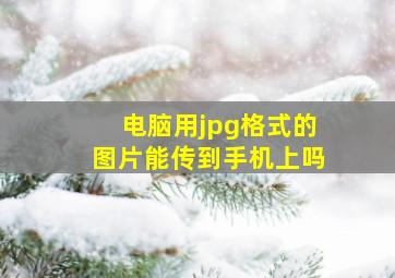 电脑用jpg格式的图片能传到手机上吗