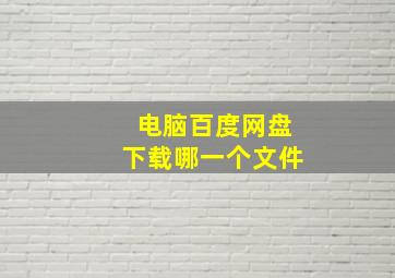 电脑百度网盘下载哪一个文件