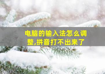 电脑的输入法怎么调整,拼音打不出来了