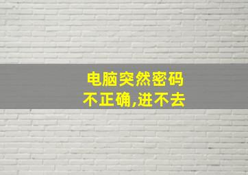 电脑突然密码不正确,进不去