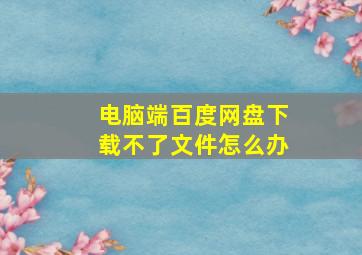 电脑端百度网盘下载不了文件怎么办