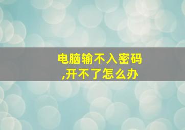 电脑输不入密码,开不了怎么办