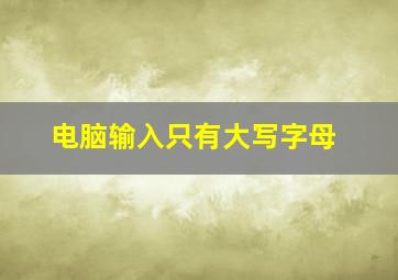 电脑输入只有大写字母