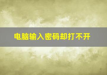 电脑输入密码却打不开