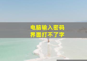 电脑输入密码界面打不了字