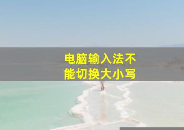 电脑输入法不能切换大小写