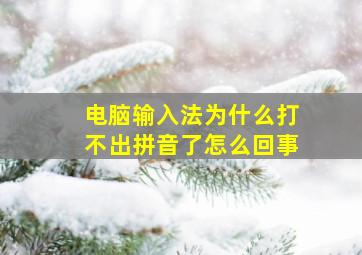 电脑输入法为什么打不出拼音了怎么回事