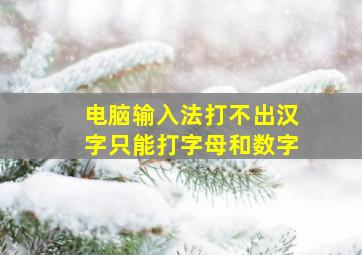 电脑输入法打不出汉字只能打字母和数字