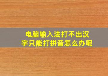 电脑输入法打不出汉字只能打拼音怎么办呢