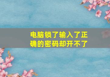 电脑锁了输入了正确的密码却开不了