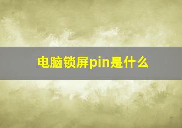 电脑锁屏pin是什么