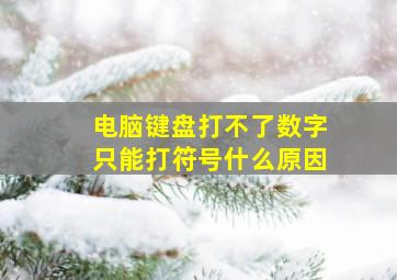 电脑键盘打不了数字只能打符号什么原因