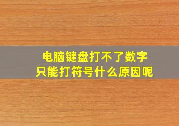 电脑键盘打不了数字只能打符号什么原因呢