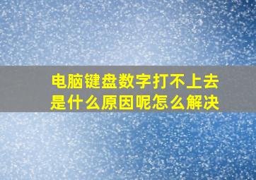 电脑键盘数字打不上去是什么原因呢怎么解决