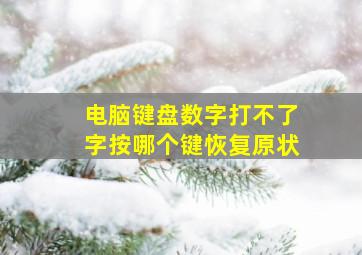 电脑键盘数字打不了字按哪个键恢复原状