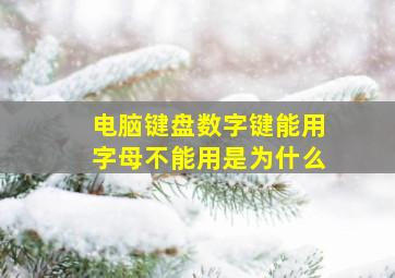 电脑键盘数字键能用字母不能用是为什么