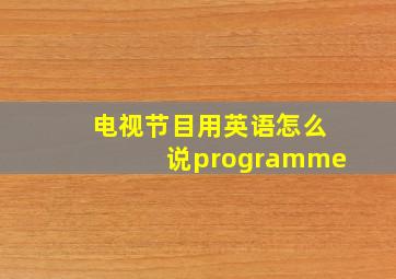 电视节目用英语怎么说programme