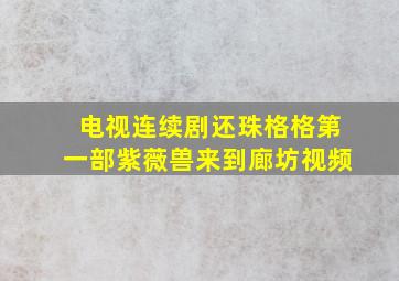 电视连续剧还珠格格第一部紫薇兽来到廊坊视频