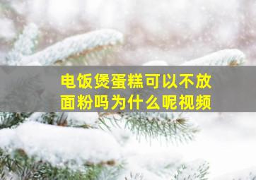 电饭煲蛋糕可以不放面粉吗为什么呢视频