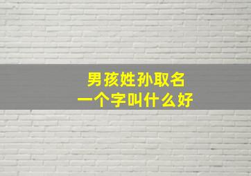 男孩姓孙取名一个字叫什么好