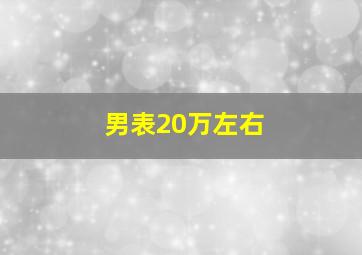 男表20万左右