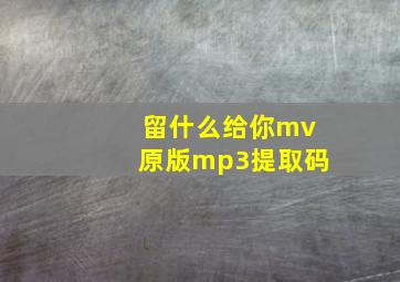 留什么给你mv原版mp3提取码