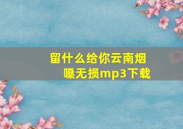 留什么给你云南烟嗓无损mp3下载