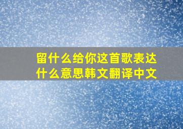 留什么给你这首歌表达什么意思韩文翻译中文