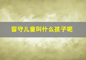 留守儿童叫什么孩子呢