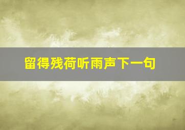 留得残荷听雨声下一句