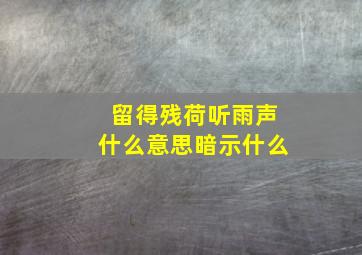 留得残荷听雨声什么意思暗示什么