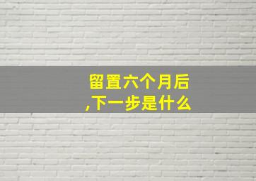 留置六个月后,下一步是什么