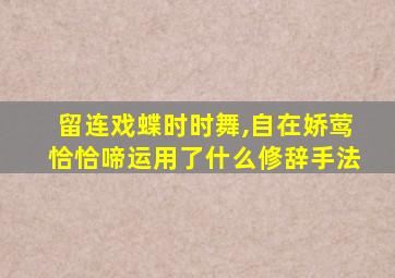 留连戏蝶时时舞,自在娇莺恰恰啼运用了什么修辞手法