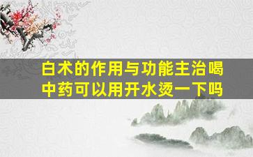 白术的作用与功能主治喝中药可以用开水烫一下吗