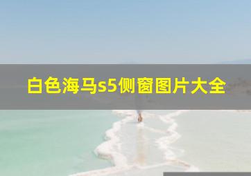 白色海马s5侧窗图片大全