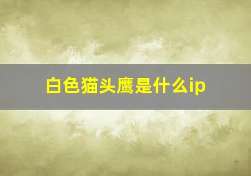 白色猫头鹰是什么ip