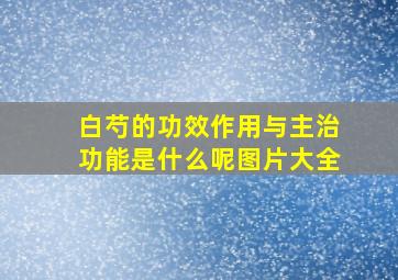 白芍的功效作用与主治功能是什么呢图片大全