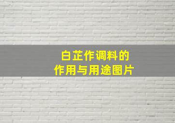 白芷作调料的作用与用途图片