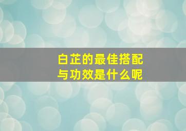 白芷的最佳搭配与功效是什么呢