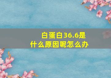 白蛋白36.6是什么原因呢怎么办