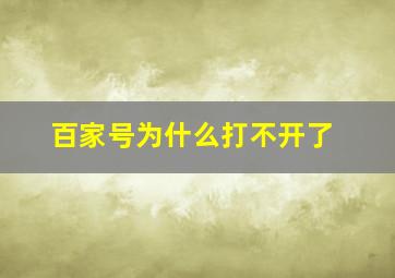 百家号为什么打不开了