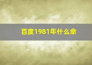 百度1981年什么命