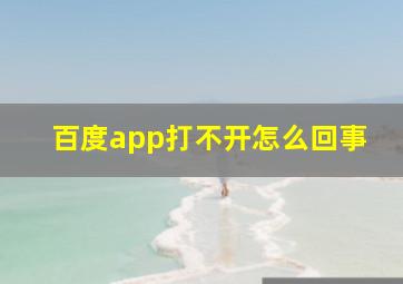 百度app打不开怎么回事