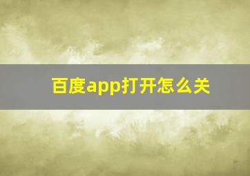 百度app打开怎么关