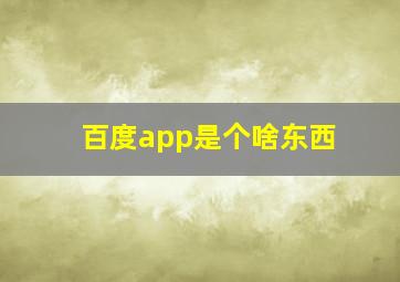 百度app是个啥东西