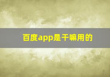 百度app是干嘛用的